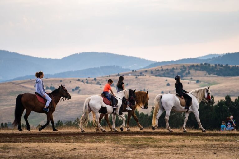 Trip Serbia - Avantura: Jahanje